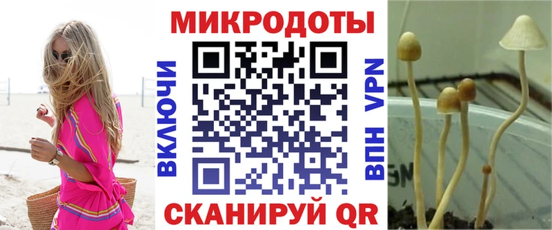 Галлюциногенные грибы GOLDEN TEACHER  Дмитровск 